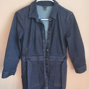 Ann Taylor denim dress